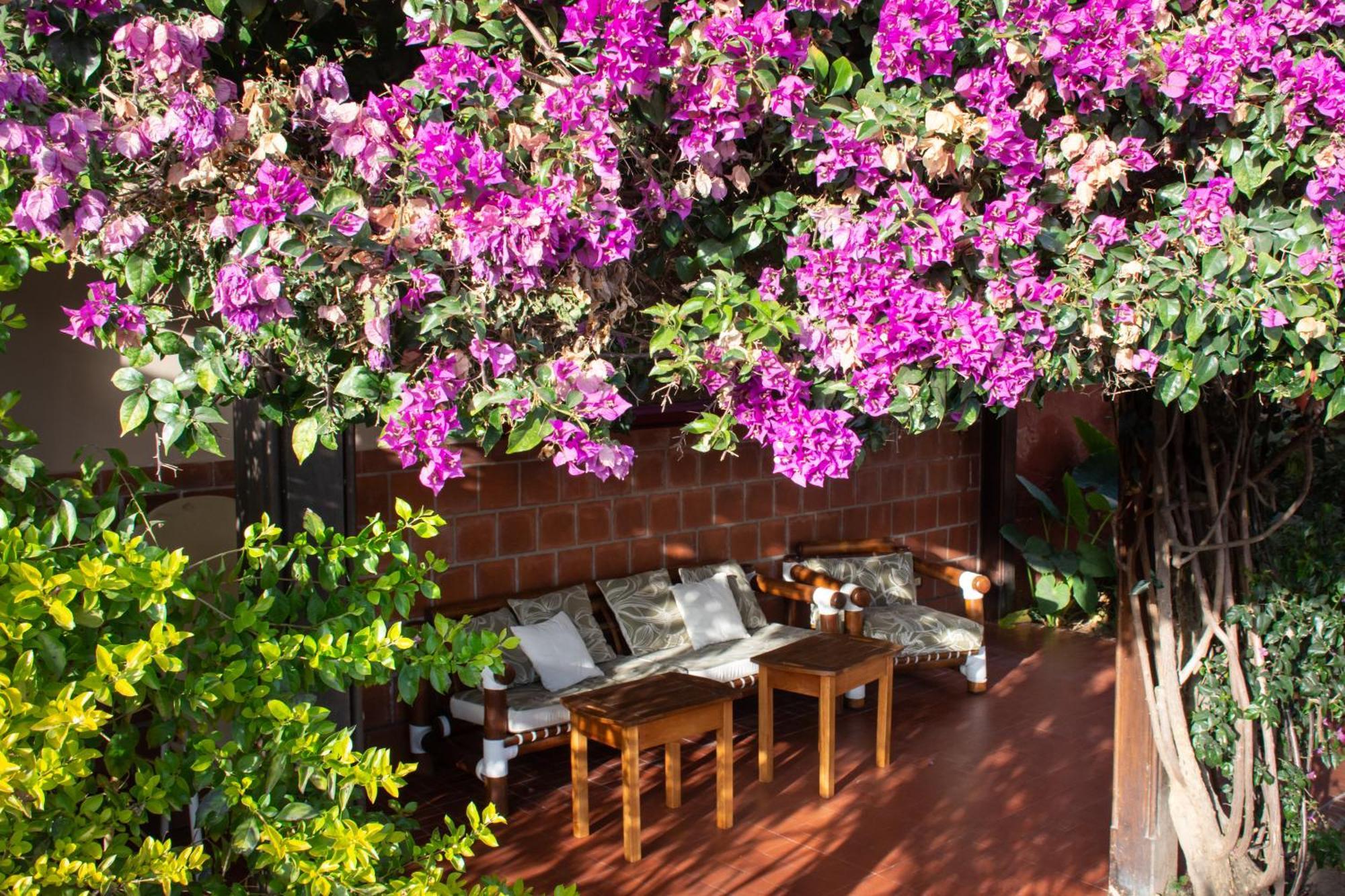 סלטה Hotel Boutique La Candela מראה חיצוני תמונה
