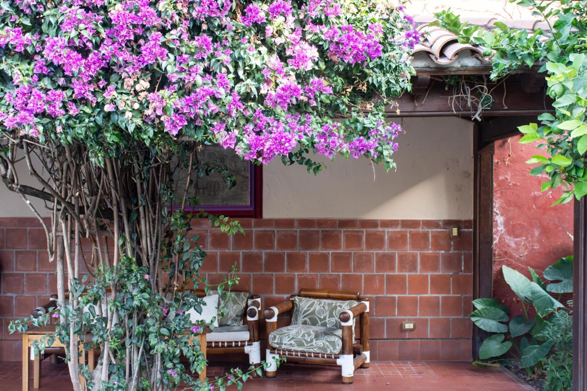 סלטה Hotel Boutique La Candela מראה חיצוני תמונה